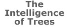 The Intelligence of Trees